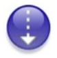 AcrobatDownload